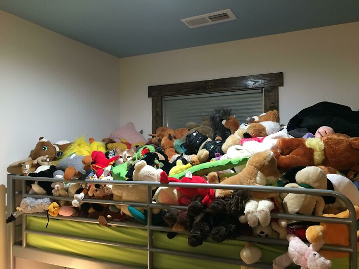 Top Bunk Of Some Guys Daughter’ Bed. One Of These Things Is Not Like The Other