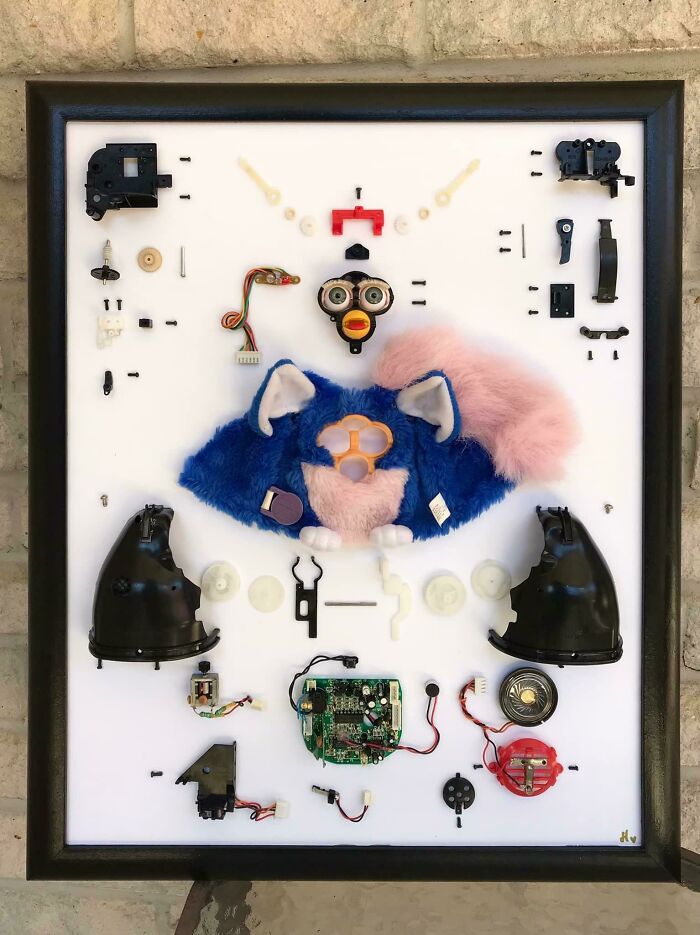 This Dissected And Mounted Furby Pet